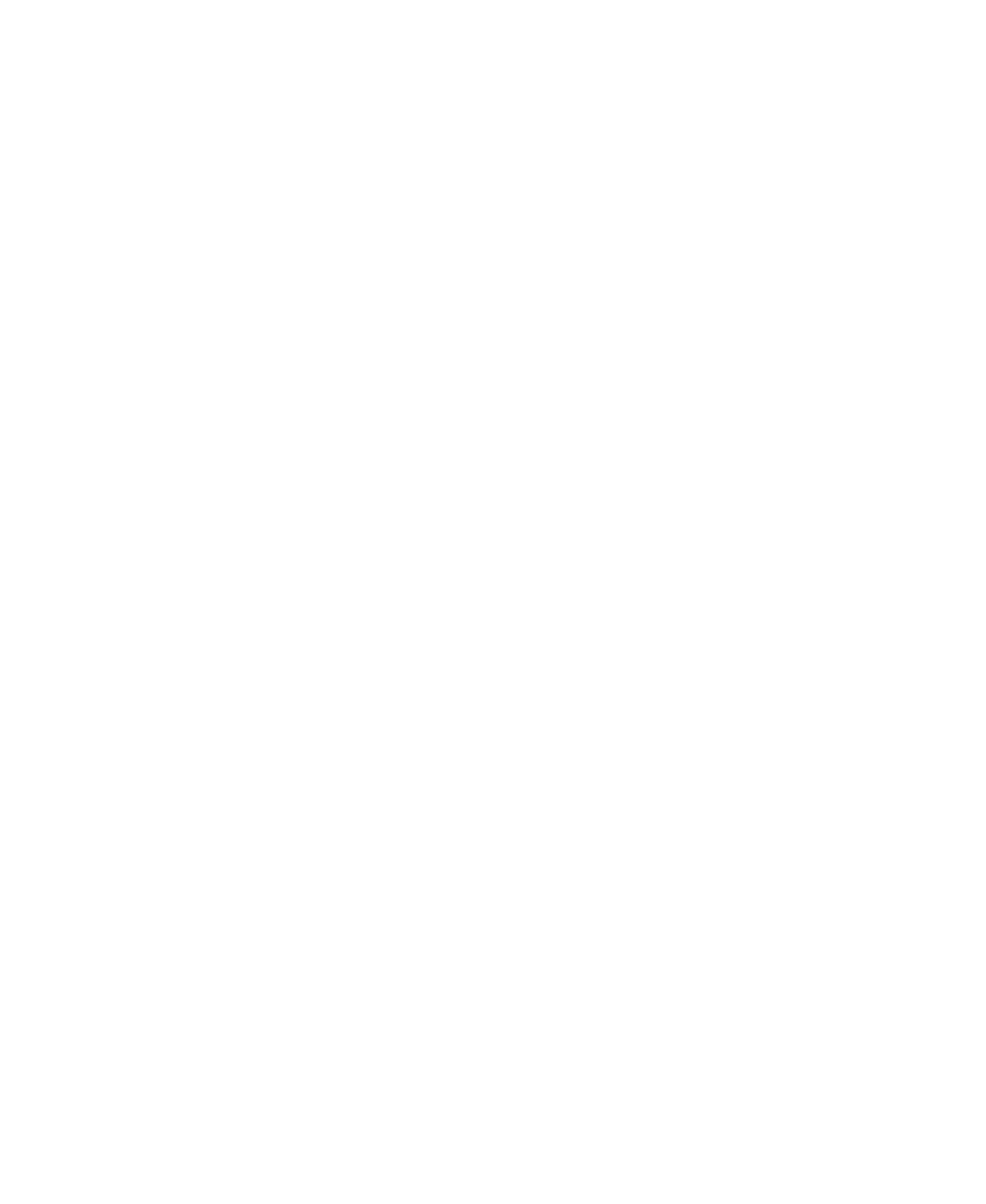 Fotograf Nico Radant